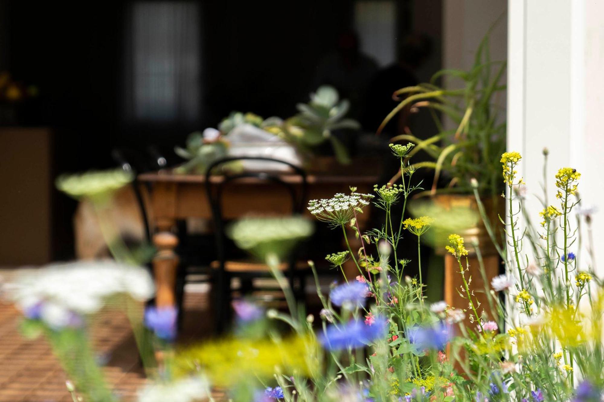 מירה Bed And Breakfast Canalgrande מראה חיצוני תמונה